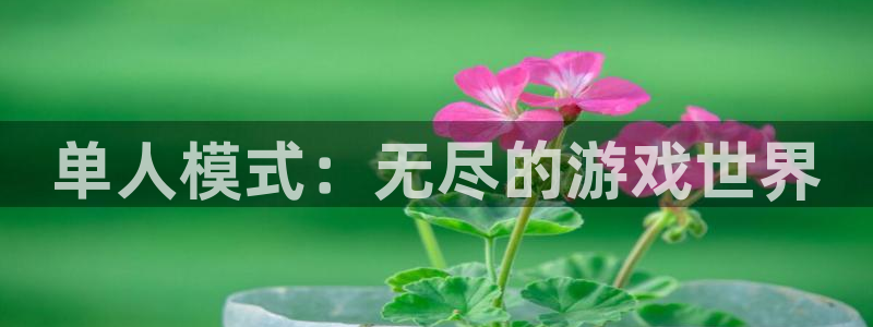 杏宇娱乐平台最新版下载安装