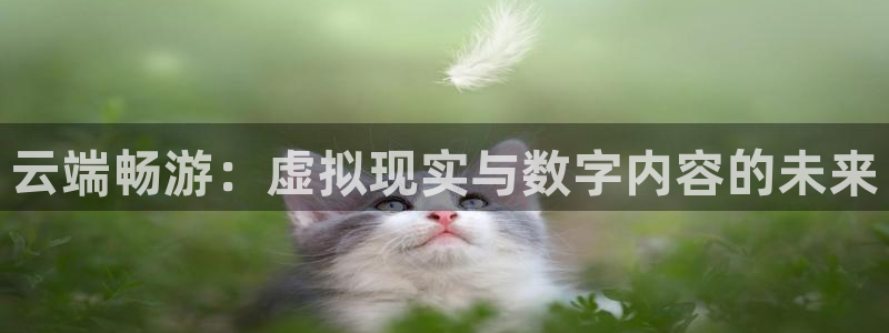 杏宇娱乐登录官网网址入口