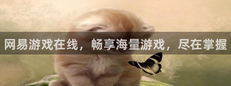 杏宇娱乐平台最新版下载安装手机