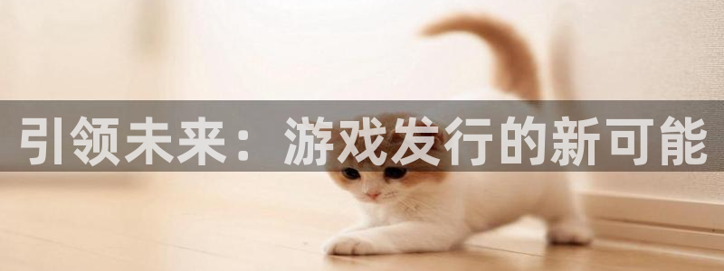 杏宇娱乐登录官网网址是多少：引领未来：游戏发行的新可能