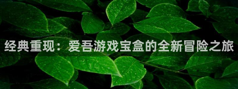 杏宇代理注册：经典重现：爱吾游戏宝盒的全新冒险之旅