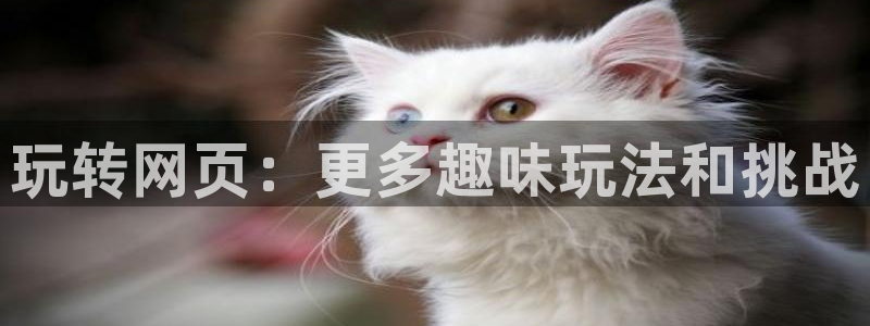 杏宇娱乐总代理