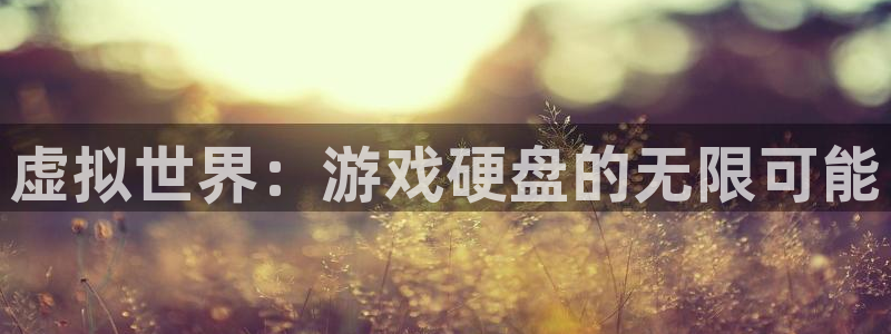 杏宇娱乐登录官网下载安装：虚拟世界：游戏硬盘的无限可能