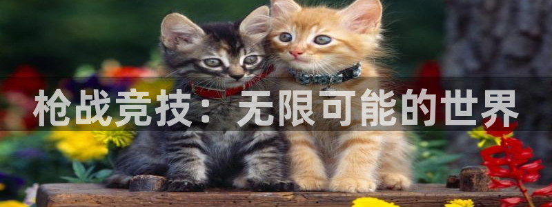 杏宇娱乐平台最新版下载官网苹果：枪战竞技：无限可能的世界