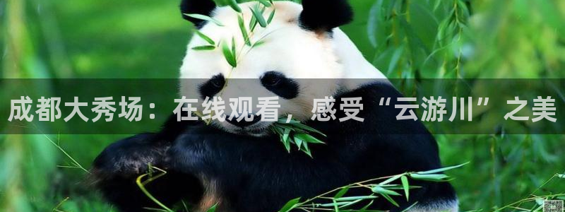 看球吧直播下载：成都大秀场：在线观看，感受“云游川”之美