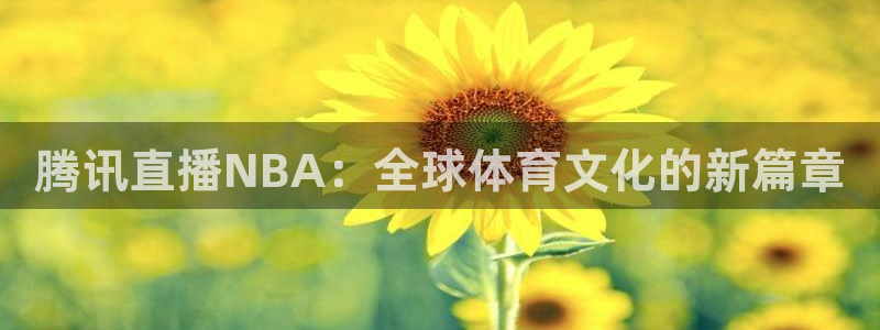 nba无插件直播看球吧：腾讯直播NBA：全球体育文化的新篇章