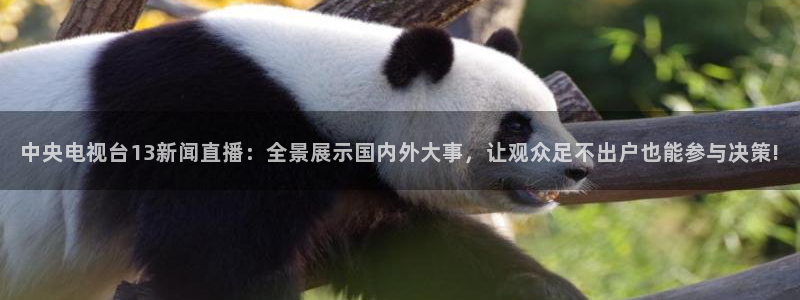 看球吧直播在线入口：中央电视台13新闻直播：全景展示国内外大事，让观众足不出户也能参与决策!