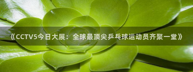 看球吧直播cba直播：《CCTV5今日大展：全球最顶尖乒乓球运动员齐聚一堂》