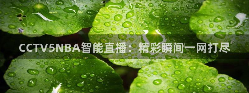 直播看球吧：CCTV5NBA智能直播：精彩瞬间一网打尽