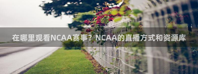 看球吧直播下载：在哪里观看NCAA赛事？NCAA的直播方式和资源库