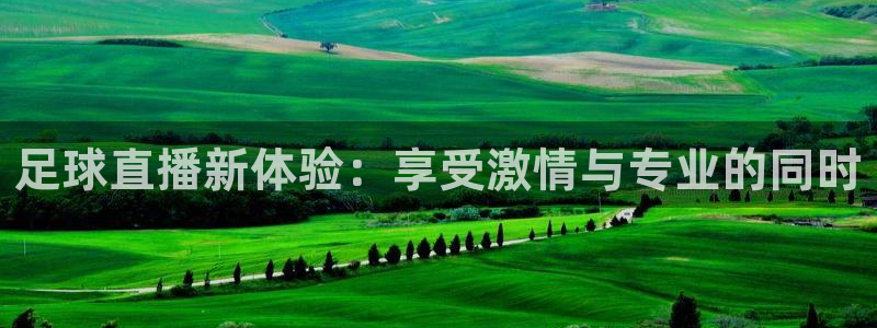 nba无插件直播看球吧：足球直播新体验：享受激情与专业的同时
