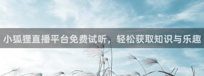 看球吧nba直播球直播jrs：小狐狸直播平台免费试听，轻松获取知识与乐趣
