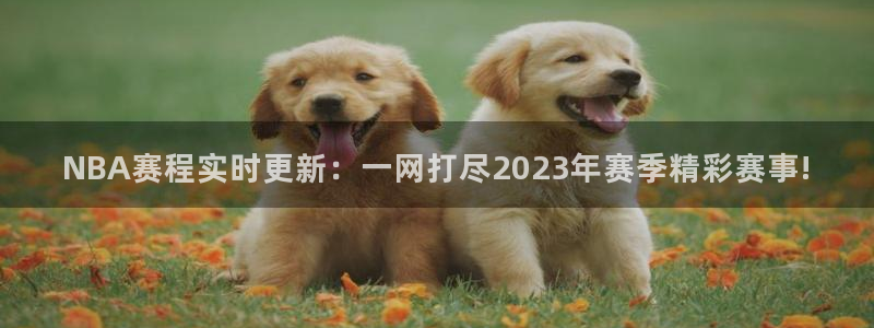 看球吧免费直播：NBA赛程实时更新：一网打尽2023年赛季精彩赛事!