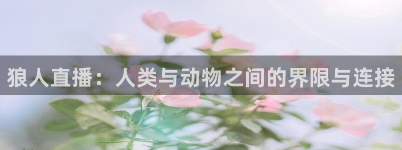 看球吧直播cba直播