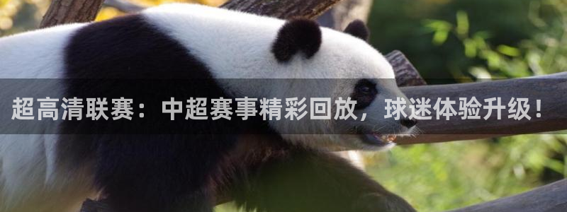 看球吧在线直播