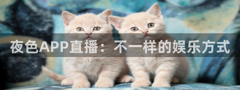 看球吧直播在线入口：夜色APP直播：不一样的娱乐方式