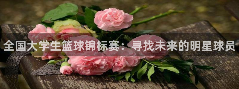 看球吧在线直播：全国大学生篮球锦标赛：寻找未来的明星球员