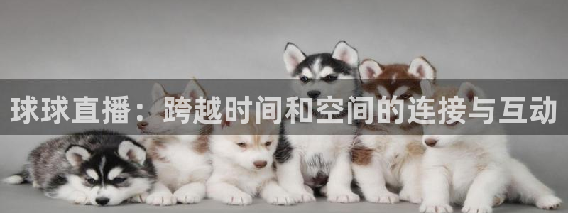 nba直播看球吧：球球直播：跨越时间和空间的连接与互动